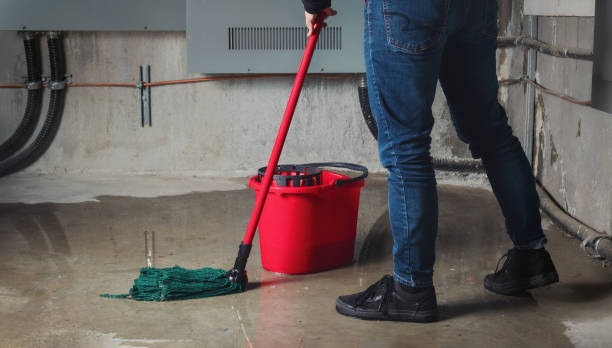 Best Basement water damage restoration  in Three Way, TN