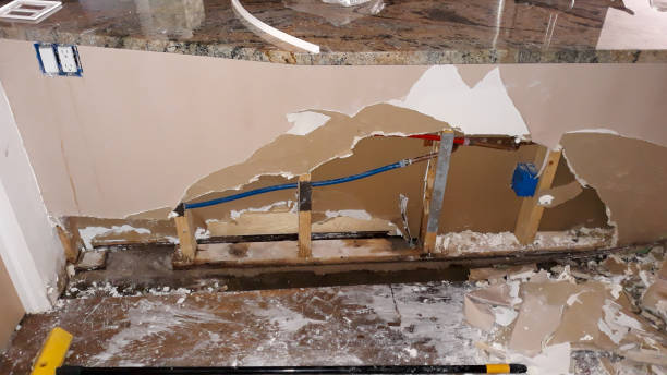 Best Mold removal after water damage  in Three Way, TN