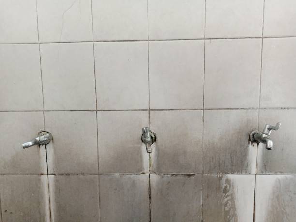 Best Water damage restoration mold remediation  in Three Way, TN