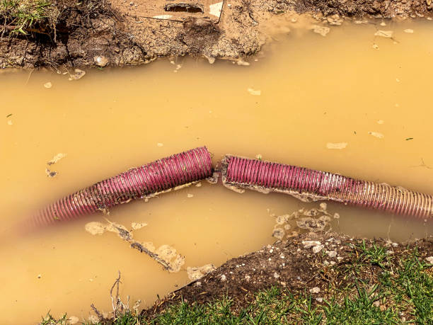 Best Local water damage restoration  in Three Way, TN