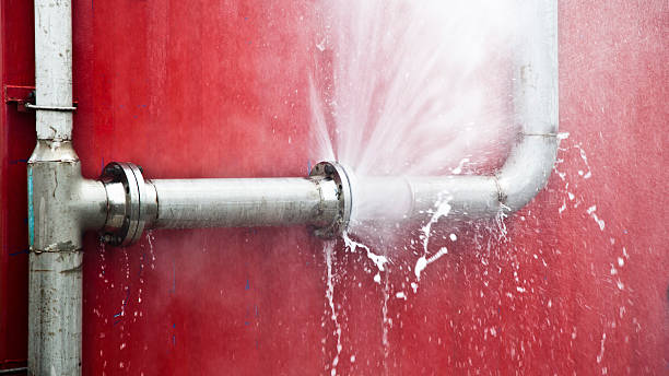 Water damage restoration mold remediation in TN