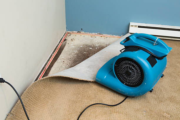 Best Commercial water damage restoration  in Three Way, TN